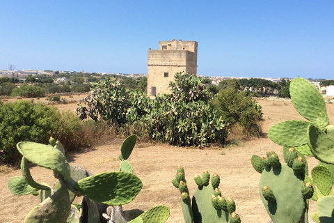 Malta: Tarxien Temples, Zejtun, and Blue Grotto Day Tour