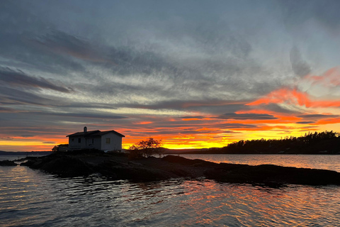 Oslo Fjord Exploration: Private Day Trip with Island Landing