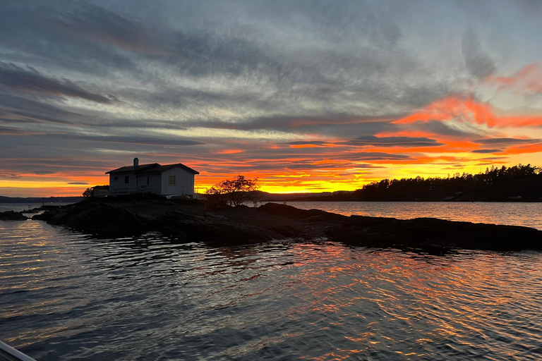 Oslo Fjord Exploration: Private Day Trip with Island Landing