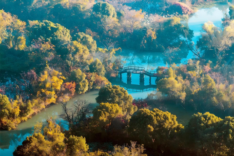 Hangzhou’s Urban Oasis: Poetic Xixi Wetland Half-Day Tour