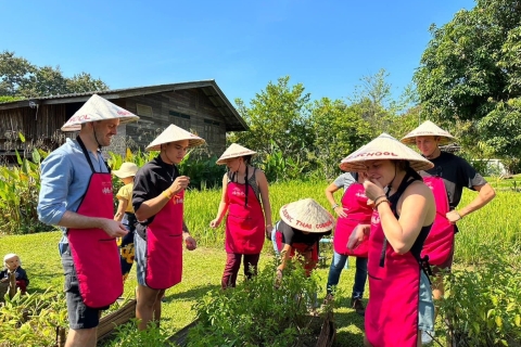 Chiang Mai: Asia Scenic Thai Cooking School Half Day Cooking at Farm