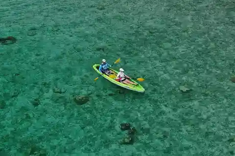 Roatan: Kayak and Snorkel Adventure