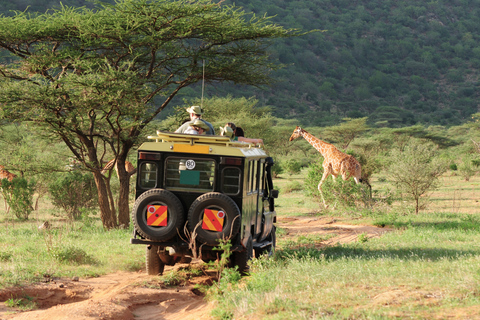 From Zanzibar: 2-Day Selous Safari with Flights & Lodge Stay 2-Day Selous Safari - Without Transfer