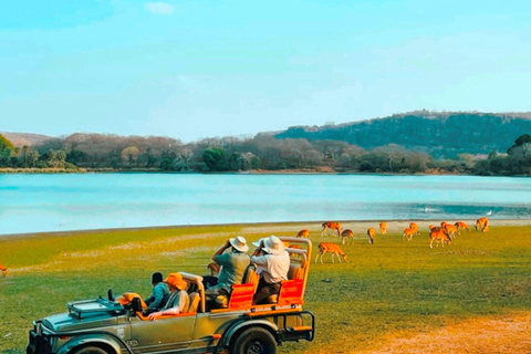 Från Jaipur: Ranthambore Tiger Safari dagsutflykt