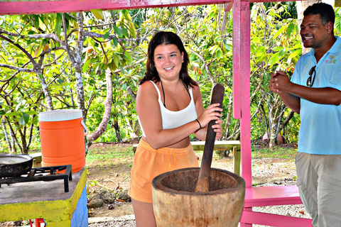 Punta Cana: Zipline, buggy, ridning och lunch