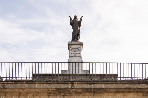 Grundare av vingårdar: TOUR GASTRO EXPERIENCE