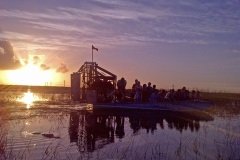 From Miami: Everglades Night Tour with Airboat Ride