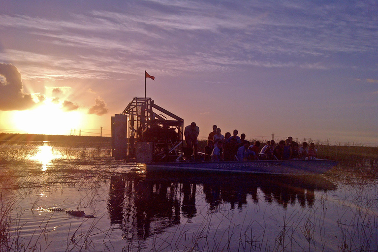 From Miami: Everglades Night Tour with Airboat Ride