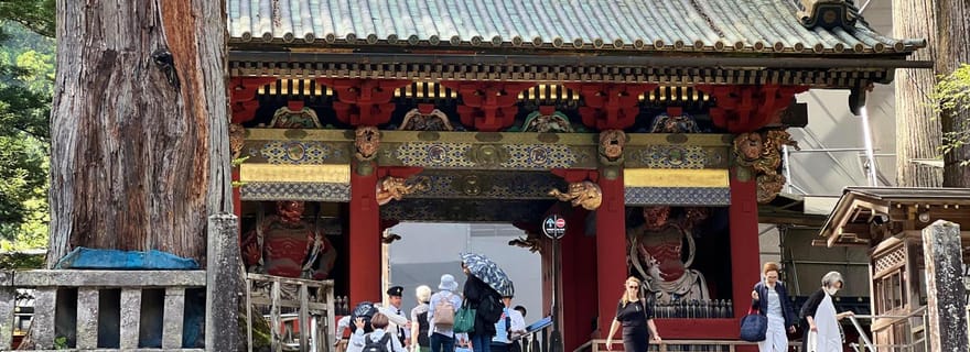 Nikko : billet pour le sanctuaire de Toshogu