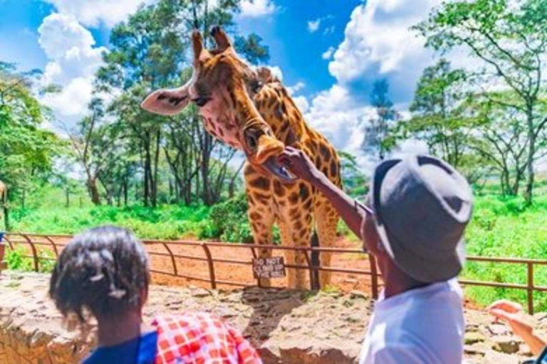 Nairobi: Nationaal Park, Olifantenweeshuis en Giraffe Tour