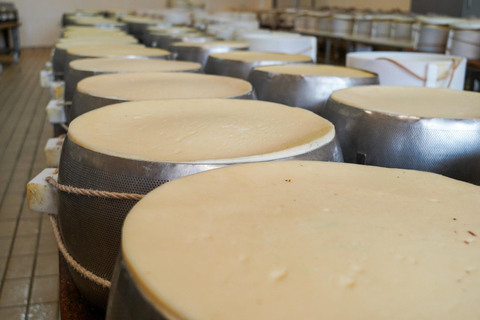 From Bologna: Parma, Parmigiano, and Prosciutto Tour by 1st-Class Train Parmesan and Prosciutto PDO Tour from Parma: a smart experience!