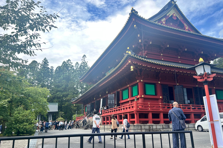 From Tokyo: Nikko World Heritage Sight Full Day Private Tour