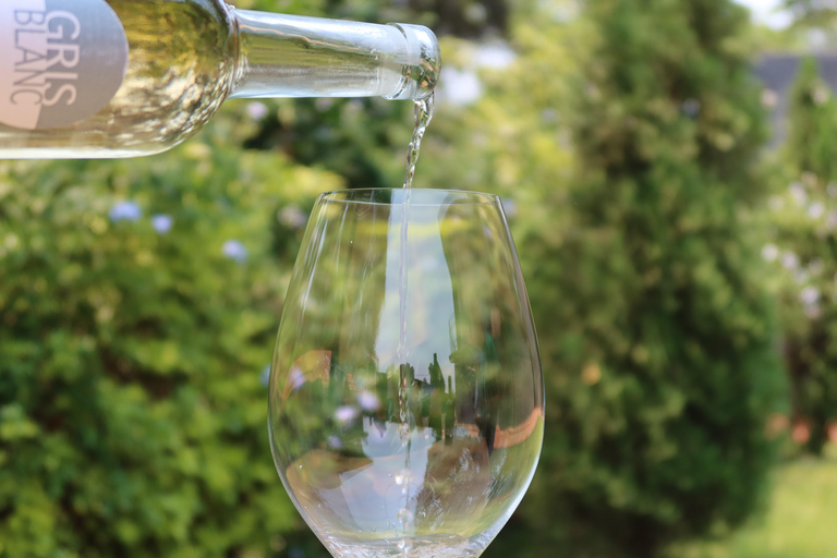 基加利：品酒体验全球葡萄品种深度解析