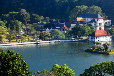 Sri Lanka: 5-Day Private Tour with Chauffer