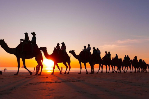 Camel ride tour in Palmerie of MarrakechCamel ride tour in Marrakech