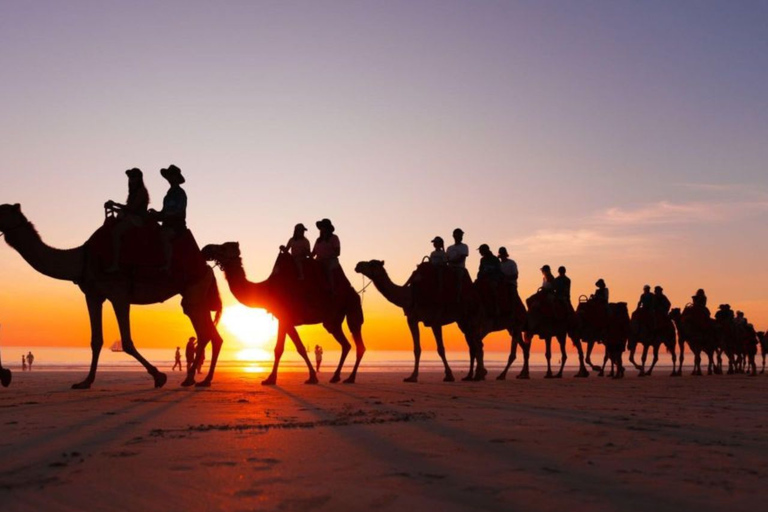 Paseo en camello por la Palmerie de MarrakechExcursión a camello en Marrakech