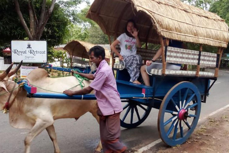 Sri Lanka: Excursão turística de vários dias a várias cidades