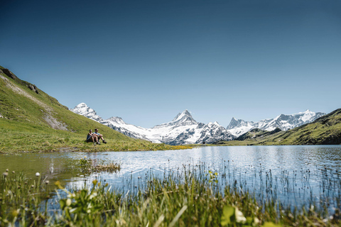 Tour privato guidato a Grindelwald prima di tutto da Zurigo