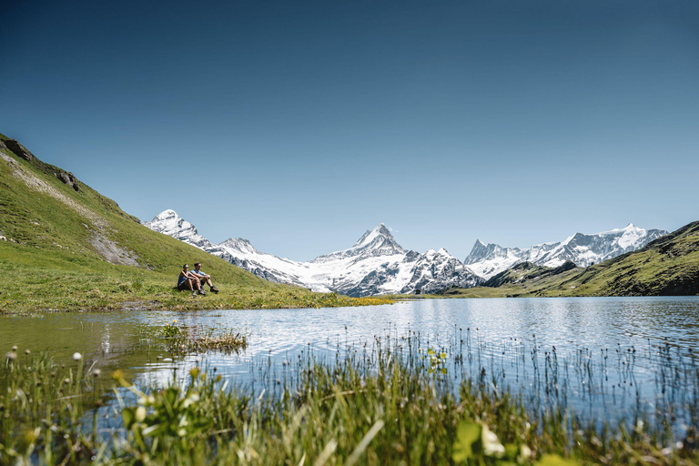 Visite guidée privée à Grindelwald First au départ de Zurich