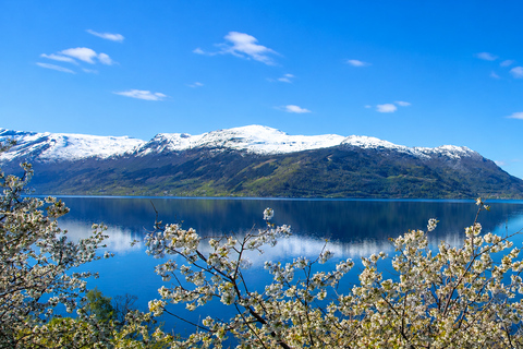 Bergen: Sognefjord & Hardangerfjord Tour