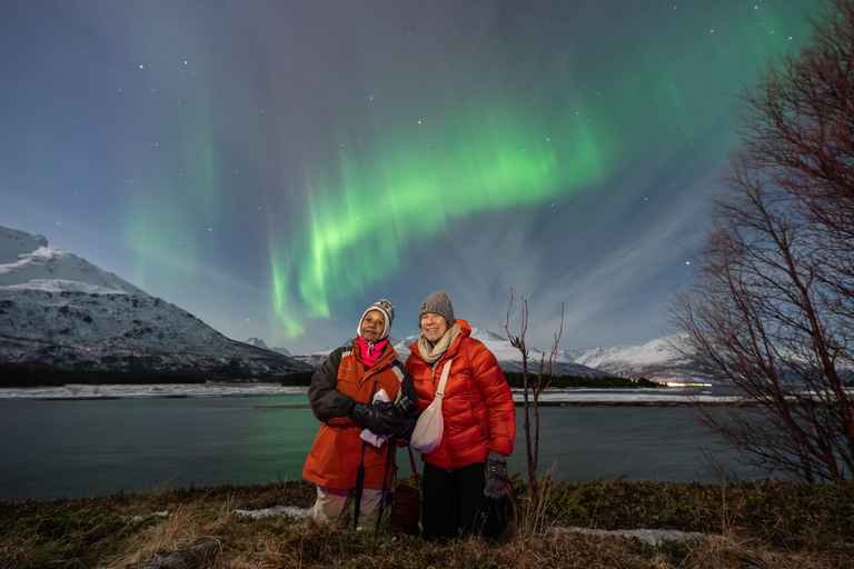 Tromso : Camps d&#039;observation du ciel