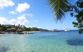  - Canarie.it