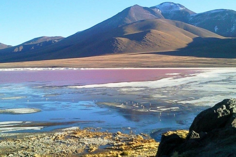 Uyuni zoutvlakte: Vanuit Tupiza | 4 dagen | Privé