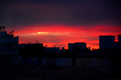 Sonnenaufgangsausritt auf Djerba: Ein magischer Moment