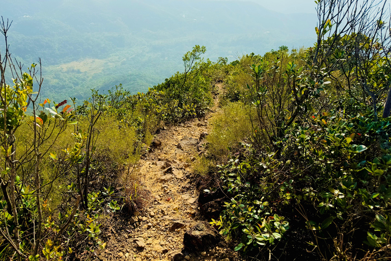 Ma On Shan Ridge & Hunchbacks Advanced Hike (Full Day)