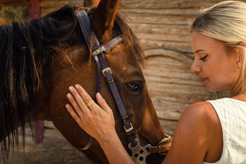 Bordeaux: Private Horseback Riding and Wine Tasting & Picnic