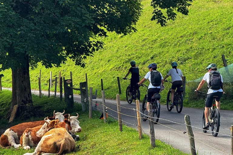 Griesalp Dolina alpejska wpisana na listę UNESCO Wycieczka rowerem elektrycznym z InterlakenWycieczka rowerowa elektrycznym rowerem z Interlaken do alpejskiej doliny Griesalp wpis
