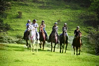 Monteverde, Reittour Reittournee - Housity