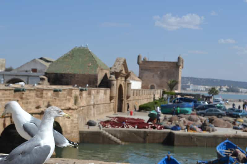 Découvrez Essaouira : Une excursion d'une journée à partir de Marrakech - trekking