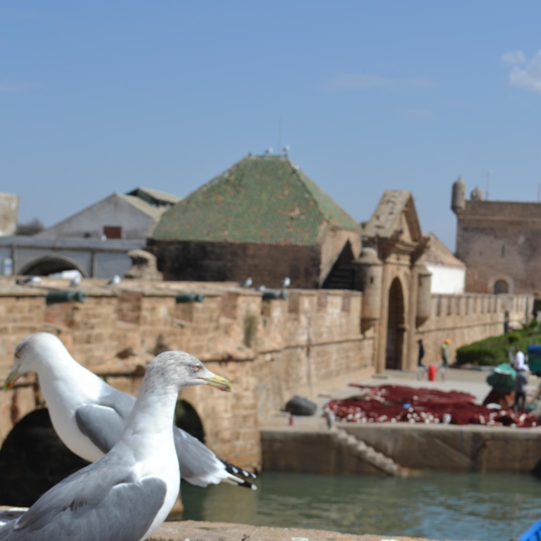 Découvrez Essaouira : Une excursion d'une journée à partir de Marrakech - trekking