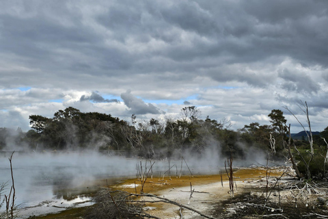 From Auckland: Lake Taupo and Rotorua Private Day Tour