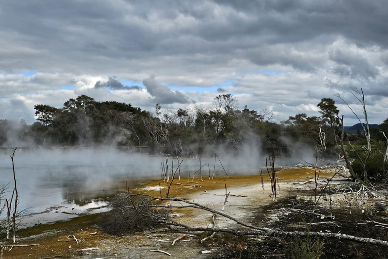 From Auckland: Lake Taupo and Rotorua Private Day Tour