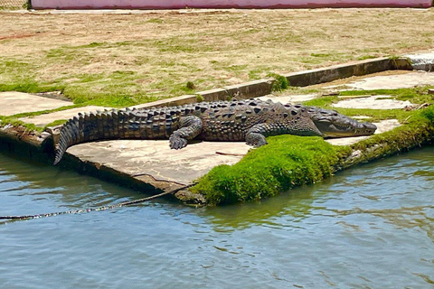 Costa Sur: Bar Pelícano y Safari por el Río Negro desde Mobay