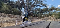 Mallorca, Cap & Cava - Formentor, Pollença, Lluc - Tour - Housity