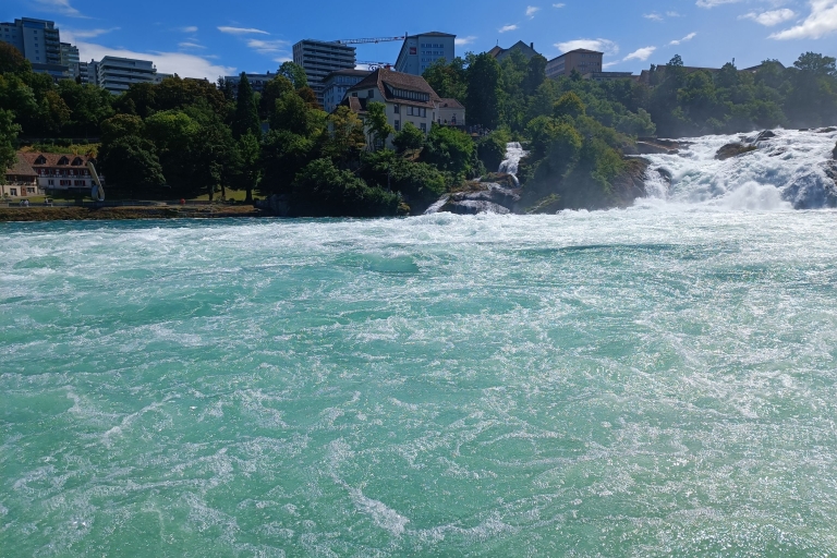 Cataratas del Rin y Stein am Rhein: Tour Privado con un Local