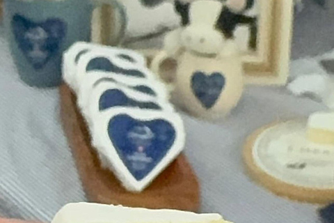 Von Colonia del Sacramento aus: La Vigna Käserei Tour