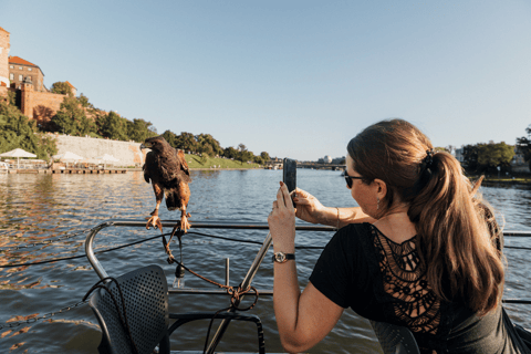 Krakow: Day or Evening Cruise & Live Guide Option Day Cruise with Audio Guide