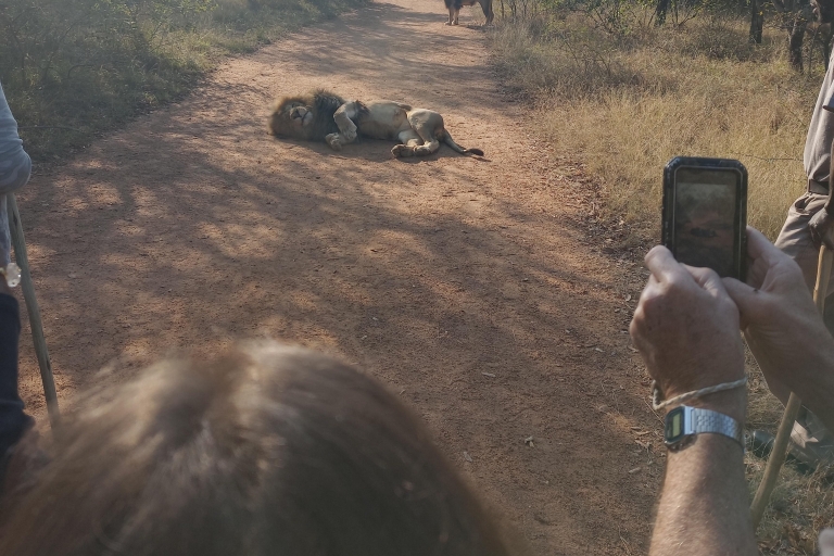 Le bushwalking pour pouvoir marcher avec les animaux sauvages