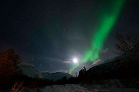 Tromsø: Electric Snow Scooter Ride and Northern Lights Hunt