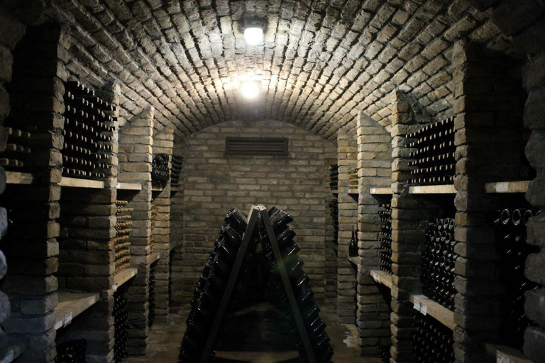 From Belgrade or Novi Sad: Private Wine Tour in Fruska Gora