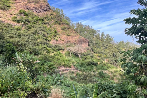 Rui Vaz Scenic Hike and Botanical Garden Stop