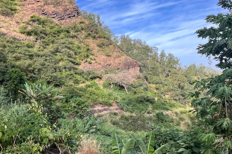 Rui Vaz Scenic Hike and Botanical Garden Stop