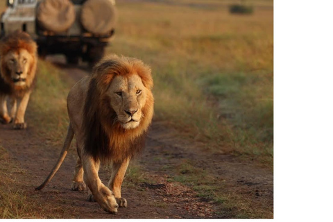 Nairobi: 2-Day Samburu National Reserve Safari Tour