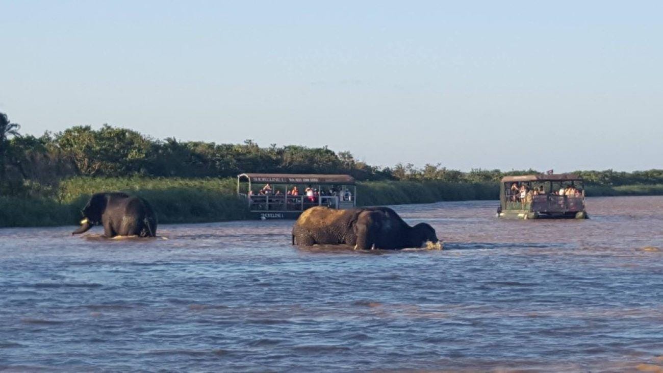 Ganztagestour KwaZulu Hluhluwe-Imfolozi und iSimangaliso Tour