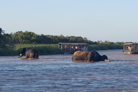 Ganztagestour KwaZulu Hluhluwe-Imfolozi und iSimangaliso Tour