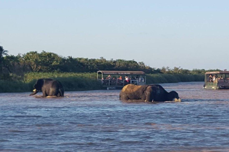 Excursión de un día completo a KwaZulu Hluhluwe-Imfolozi e iSimangalisoExcursión de día completo a KwaZulu Hluhluwe-Imfolozi e iSimangaliso